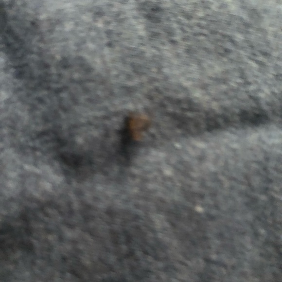 J BRAND size 30 blue jeans Jegging style “ELECTRIC “lightweight - Picture 11 of 13